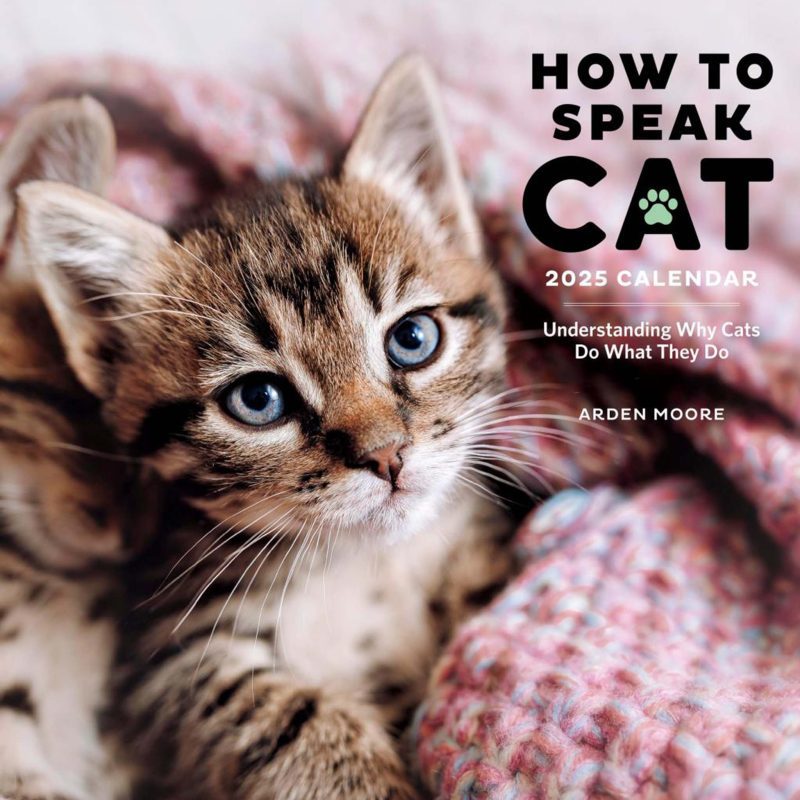 0a4b7df3hachette 01 how to speak cat wall calendar 9781523526659