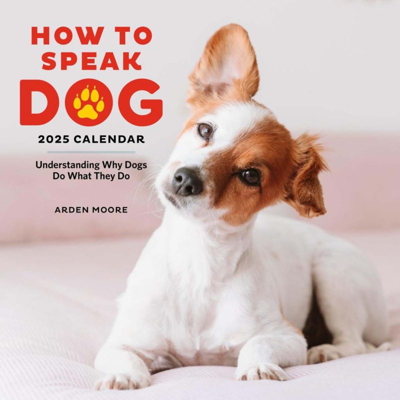 8316fb07hachette 01 how to speak dog wall calendar 2025 9781523526642