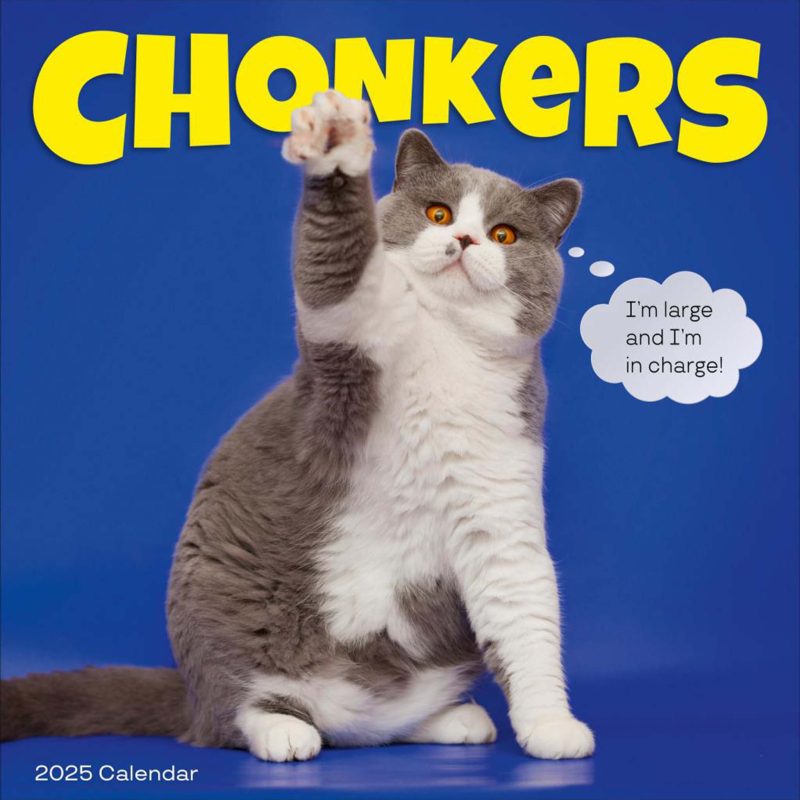 ca3d609chachette 01 chonkers wall calendar 9781523524723