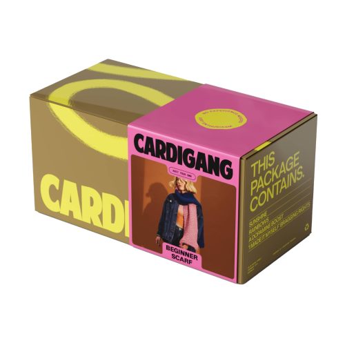 Cardigang two-tone Pink and Blue Harper Beginner Acrylic Scarf Knit Kit in box packaging, front angle view.