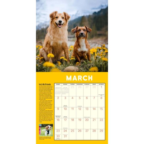 hachette 02 how to speak dog wall calendar 2025 9781523526642