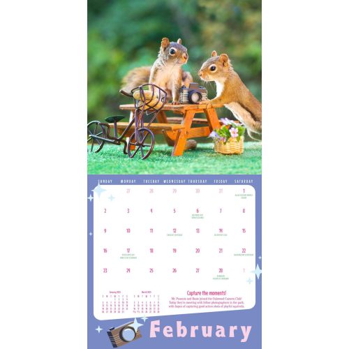 hachette 02 secret life of squirrels mini wall calendar 9781523524587