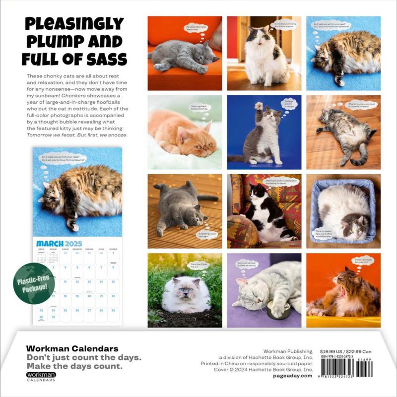 hachette 03 chonkers wall calendar 9781523524723