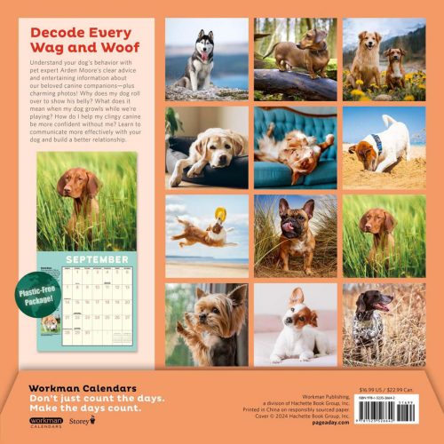 hachette 03 how to speak dog wall calendar 2025 9781523526642