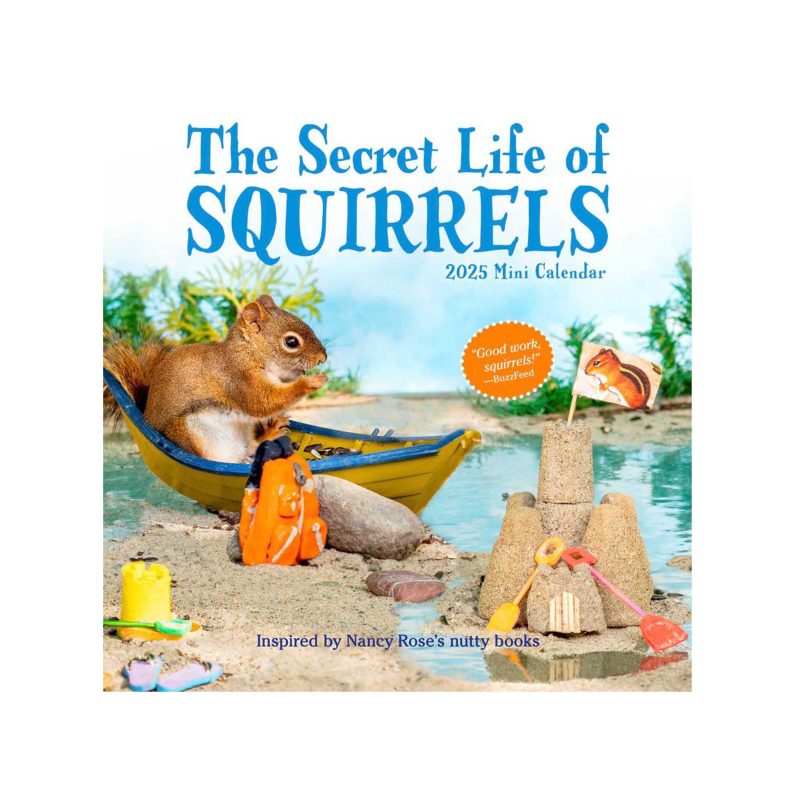 hachette the secret life of squirrels mini wall calendar front cover 9781523524587