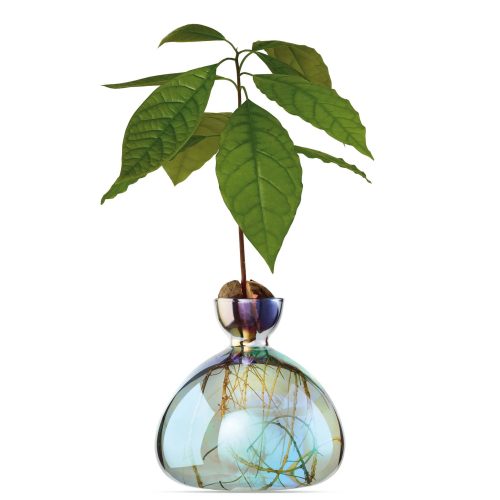 ilex studio cosmic lyra iridescent avocado vase