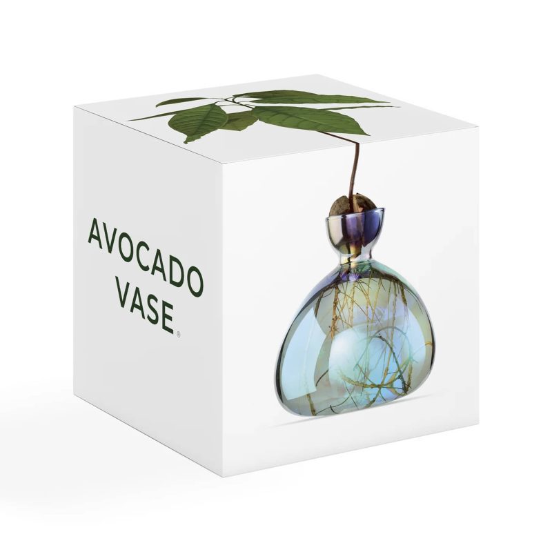 ilex studio cosmic lyra iridescent avocado vase in box packaging