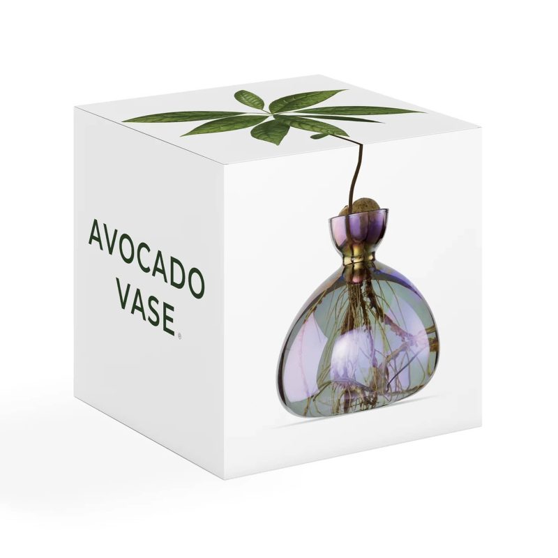 ilex studio cosmic vega iridescent avocado vase in box packaging