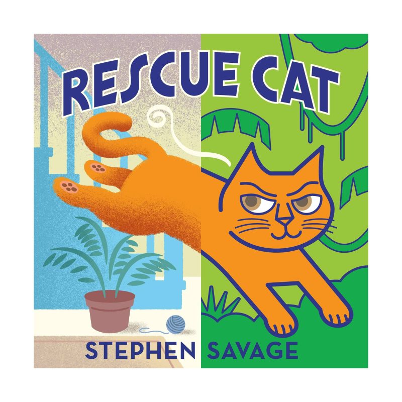 mps rescue cat childrens picture book front cover 9781626721548