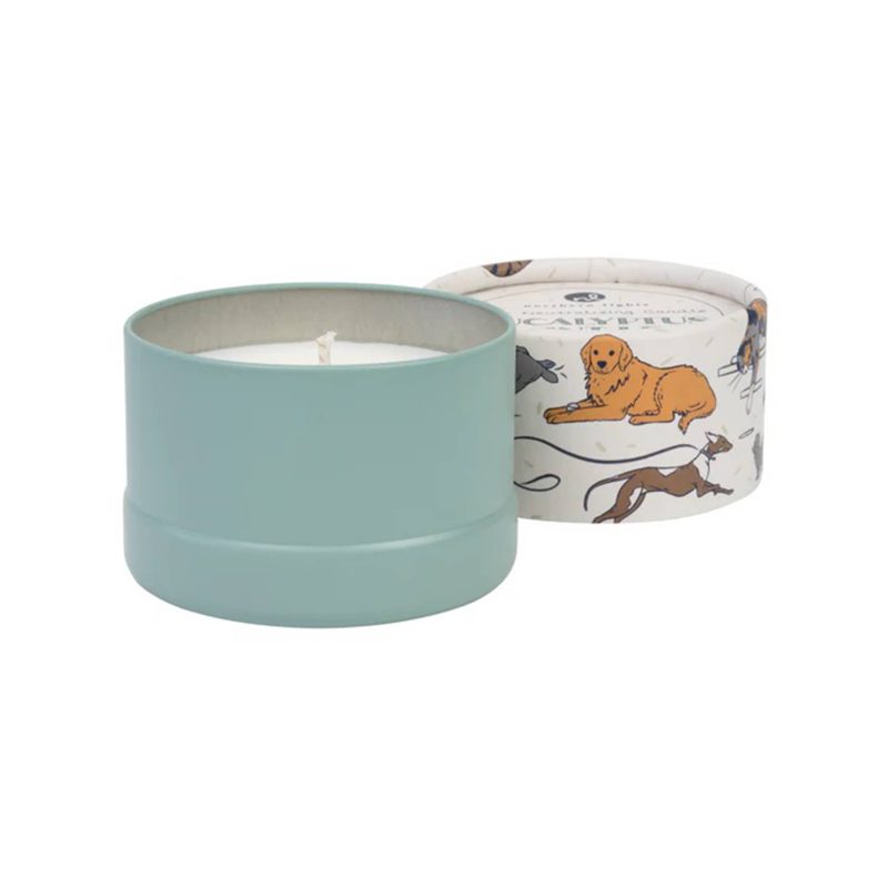 northern lights candles 79003 pawson 5 ounce pet odor neutralizing eucalyptus mint leaf scented candle front view lid off