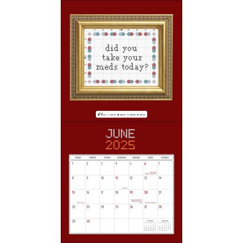 simon schuster 03 subversive cross stitch 2025 wall calendar 9780789344953